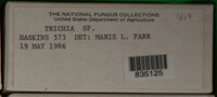 Image Associated With the Occurence
